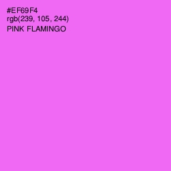 #EF69F4 - Pink Flamingo Color Image