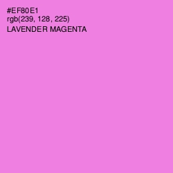 #EF80E1 - Lavender Magenta Color Image