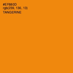 #EF880D - Tangerine Color Image