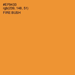 #EF9433 - Fire Bush Color Image