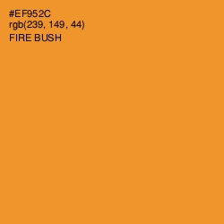 #EF952C - Fire Bush Color Image