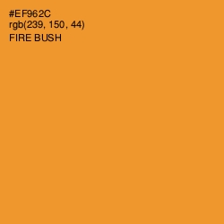 #EF962C - Fire Bush Color Image