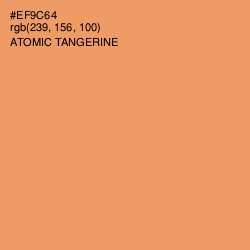 #EF9C64 - Atomic Tangerine Color Image