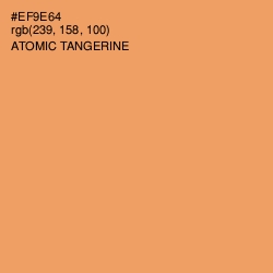 #EF9E64 - Atomic Tangerine Color Image