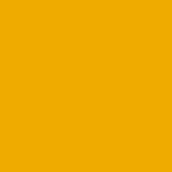 #EFAB00 - Yellow Sea Color Image