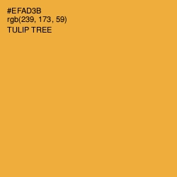 #EFAD3B - Tulip Tree Color Image