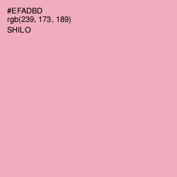 #EFADBD - Shilo Color Image