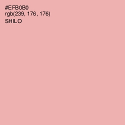 #EFB0B0 - Shilo Color Image