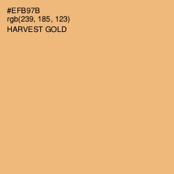 #EFB97B - Harvest Gold Color Image