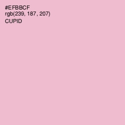 #EFBBCF - Cupid Color Image