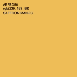 #EFBD58 - Saffron Mango Color Image