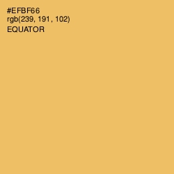#EFBF66 - Equator Color Image