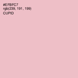 #EFBFC7 - Cupid Color Image