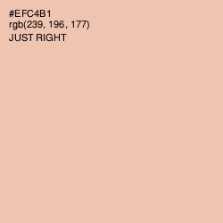 #EFC4B1 - Just Right Color Image