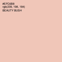 #EFC6B8 - Beauty Bush Color Image