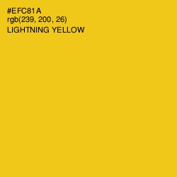 #EFC81A - Lightning Yellow Color Image