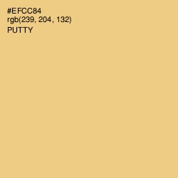 #EFCC84 - Putty Color Image
