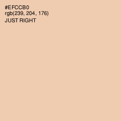 #EFCCB0 - Just Right Color Image