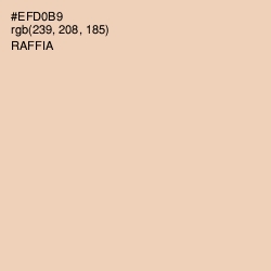 #EFD0B9 - Raffia Color Image