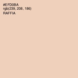 #EFD0BA - Raffia Color Image