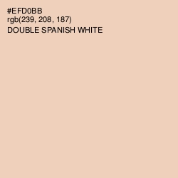 #EFD0BB - Double Spanish White Color Image