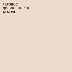 #EFDBCC - Almond Color Image