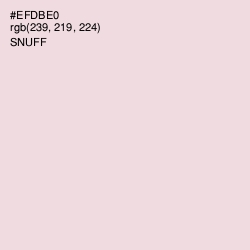 #EFDBE0 - Snuff Color Image