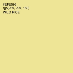 #EFE596 - Wild Rice Color Image