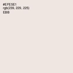 #EFE5E1 - Ebb Color Image