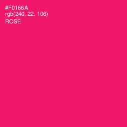 #F0166A - Rose Color Image