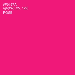 #F0197A - Rose Color Image