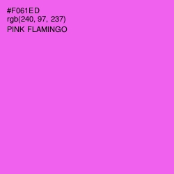 #F061ED - Pink Flamingo Color Image