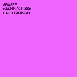 #F065FF - Pink Flamingo Color Image