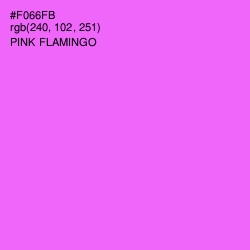 #F066FB - Pink Flamingo Color Image
