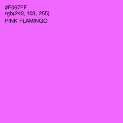 #F067FF - Pink Flamingo Color Image