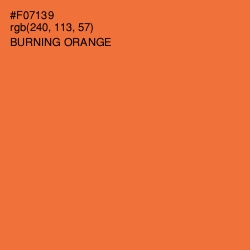 #F07139 - Burning Orange Color Image