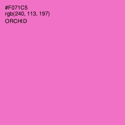 #F071C5 - Orchid Color Image