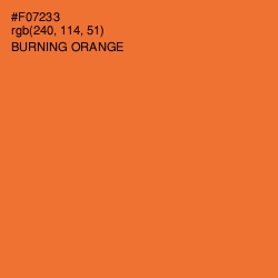 #F07233 - Burning Orange Color Image