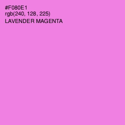 #F080E1 - Lavender Magenta Color Image