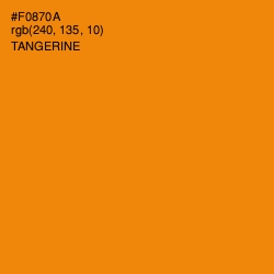 #F0870A - Tangerine Color Image