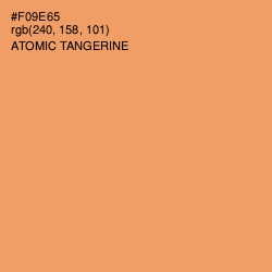 #F09E65 - Atomic Tangerine Color Image