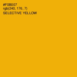 #F0B007 - Selective Yellow Color Image