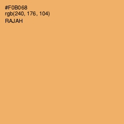 #F0B068 - Rajah Color Image