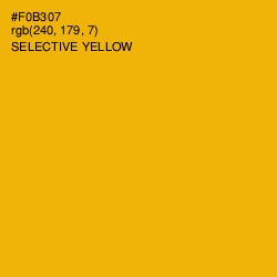 #F0B307 - Selective Yellow Color Image