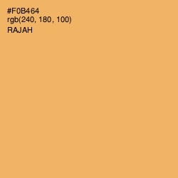 #F0B464 - Rajah Color Image