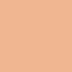 #F0B691 - Gold Sand Color Image