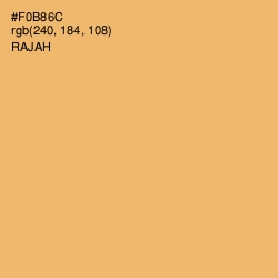 #F0B86C - Rajah Color Image