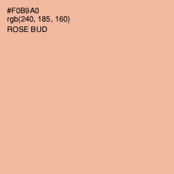 #F0B9A0 - Rose Bud Color Image