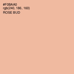 #F0BAA0 - Rose Bud Color Image