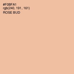 #F0BFA1 - Rose Bud Color Image